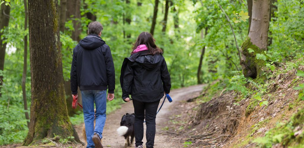 dog walker woodland