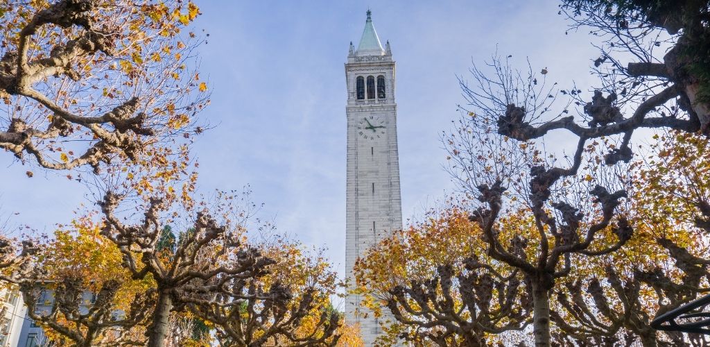 Alley lined up with autumn colored trees; Sather  tower in the background, Berkeley, San Francisco bay, California