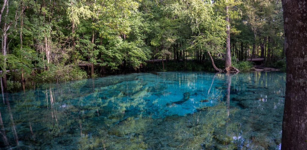 Beautiful view of the turquoise crystal well-spoken waters of the lagoon of Ginnie Springs, Florida. USA