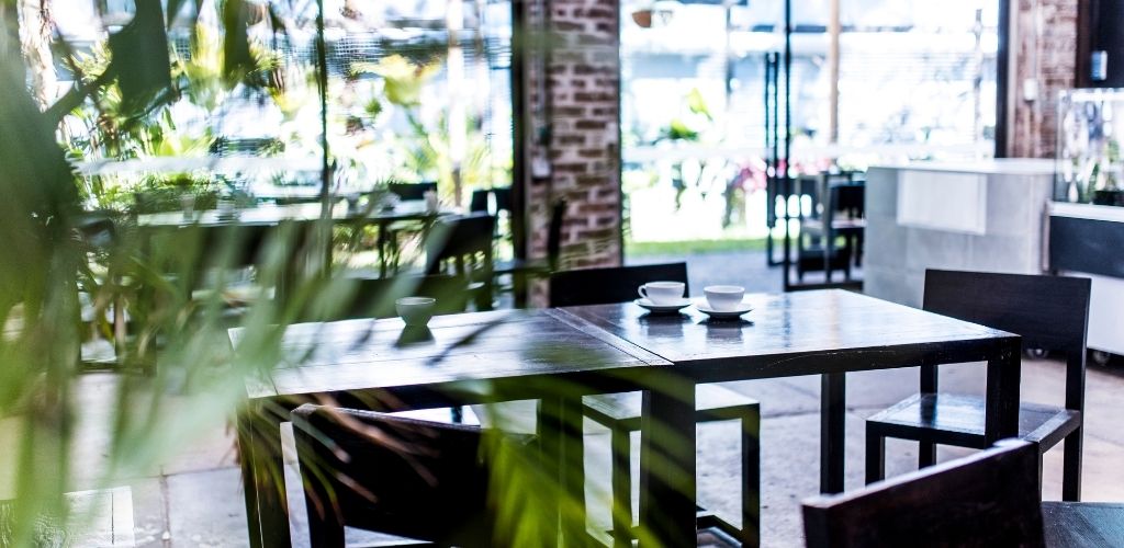 A two brown table and three white cup of coffee and a bright ambiance and green plant around and the place. 