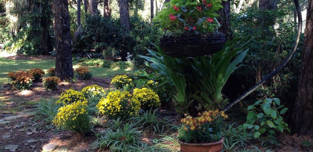 A beautiful plants and flowers in the botanical garden. 