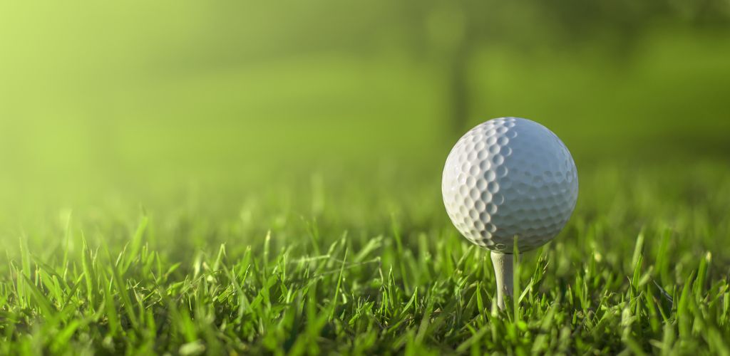 A white golf ball on the green grass. 