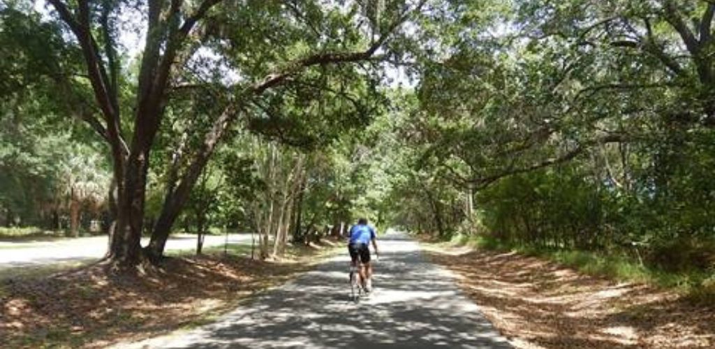 A man rides his bike in the wooded park. 