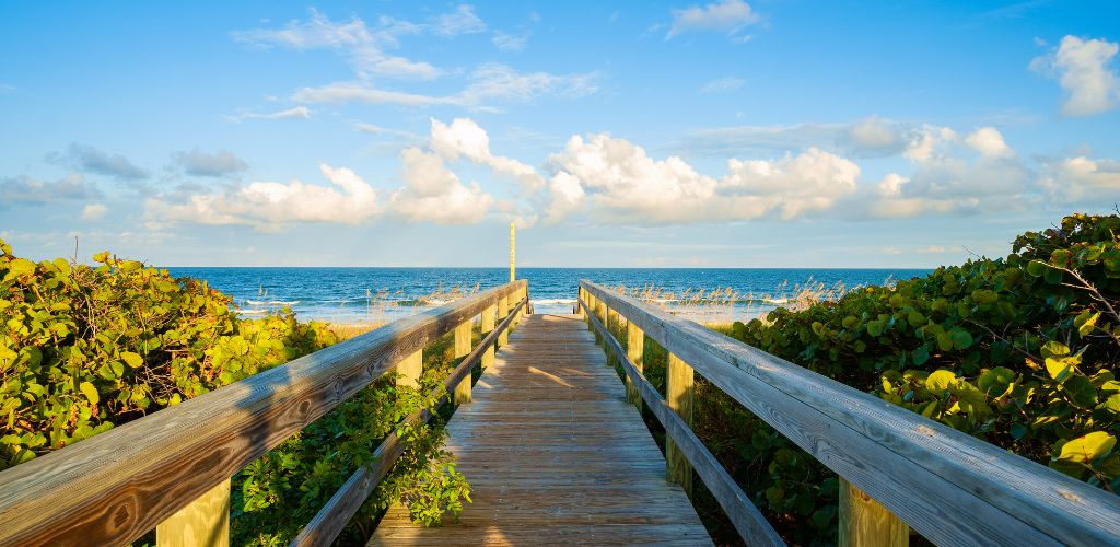 A bridge with green plants on the side leading to the beach and a cloudy sky. 
