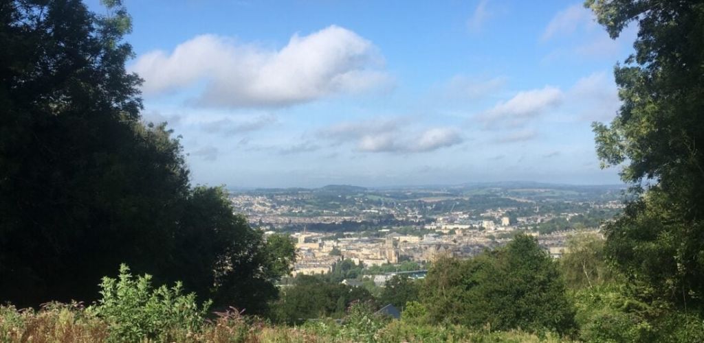 It is an uphill view of the city with lush plants on the frame image's side.