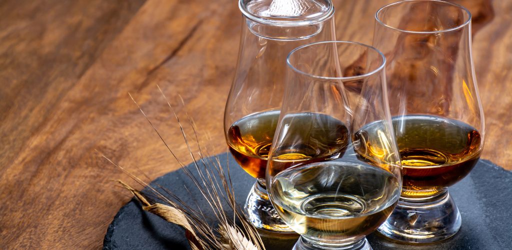 Scotch single malt and blended whisky tasting on distillery in Scotland