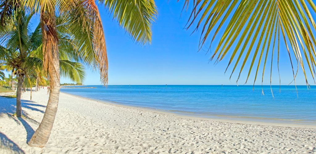 A white sand beach with coconut palms, crystal pure water, and a clear blue sky. 