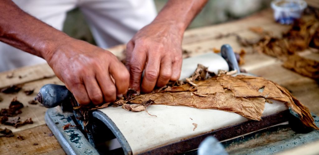 cigar factory tampa