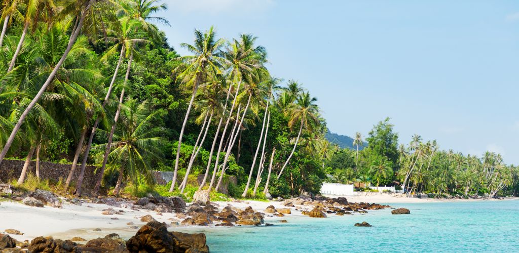 Koh Samui beach