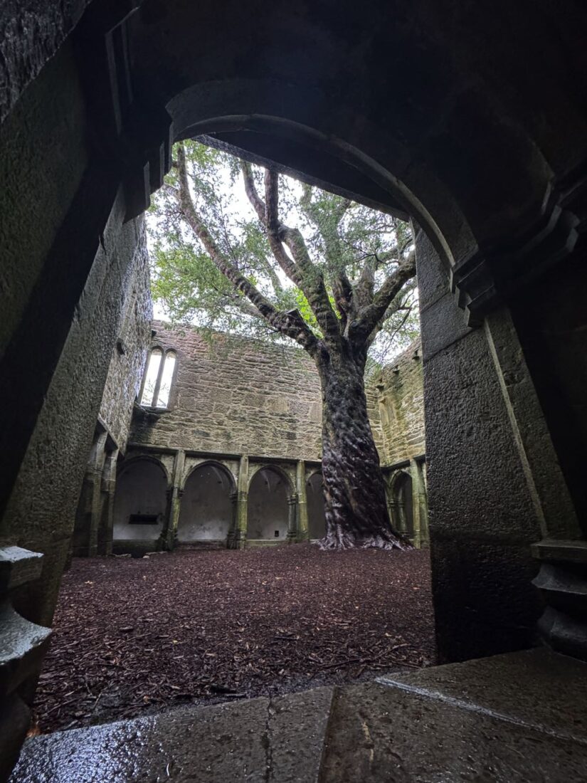 10 Day Campervan Trip in Ireland (Our Itinerary & Experience) muckross ireland