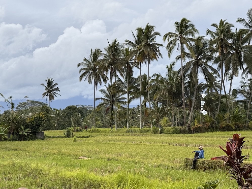 Travel Blog Trip Asia IMG 0277