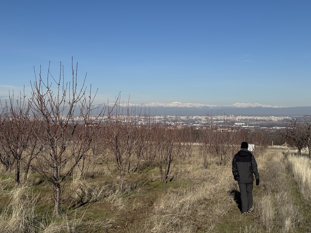 Travel Blog Trip Asia IMG 7959